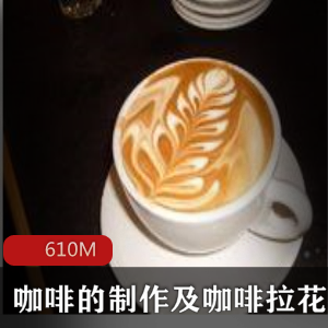 （咖啡拉花）教学视频