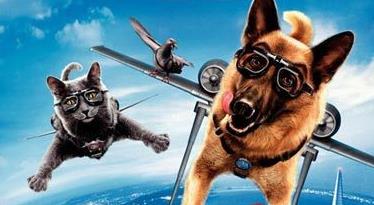 （猫狗大战两部曲）在线观看