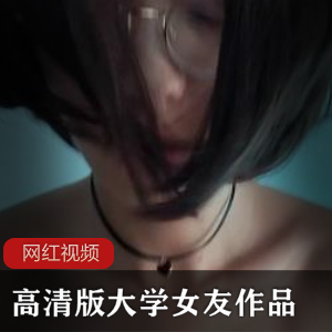 高清版大学女友作品