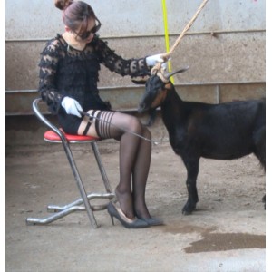 限时特惠高清定制视频，黑丝高跟鞋美女骑羊，多种下载方式！