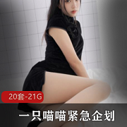 高颜值御用姬喵喵梓20套视频合集，总计21.1G，包含黑丝JK职业装等风格